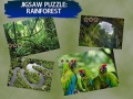 Spiel Jigsaw Puzzle Regenwald Online