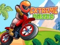 Spiel Extreme Biker Online