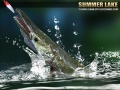 Spiel Sommersee 1.5 Online