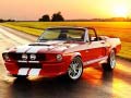 Spiel Fancy Mustang Unterschiede Online