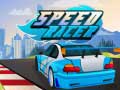 Spiel Rasender Rennfahrer Online