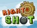 Spiel Richtiger Schuss Online