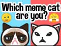 Spiel Welcher Meme-Kater bist du? Online