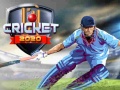 Spiel Cricket 2020 Online