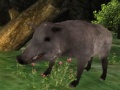 Spiel Wildschweinjagd Online