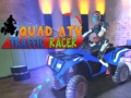 Spiel Quad ATV Verkehr Racer Online