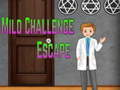 Spiel Amgel Mild Challenge Escape Online