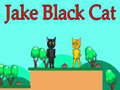 Spiel Jake Schwarze Katze Online