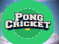 Spiel Pong Cricket Online