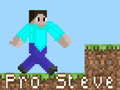 Spiel Pro Steve Online