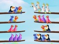 Spiel Vogel Sortier Puzzle Online