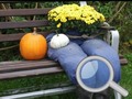 Spiel Herbstgarten: Finde 100 Schmetterlinge Online