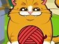 Spiel Verspieltes Kätzchen Online