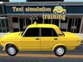 Spiel Taxisimulationsausbildung Online