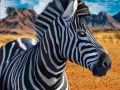 Spiel Zebrahunter Online