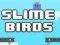 Spiel Schleim Vögel Online