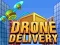 Spiel Drohnenlieferung Online