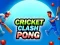 Spiel Cricket Clash Pong Online