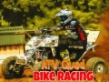 Spiel ATV Quad-Rennen Online