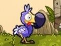Spiel Rette die Dodos Online