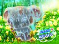 Spiel Happiger Koala Online
