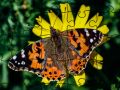 Spiel Puzzle: Frühling Online