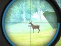 Spiel Jägertraining Online
