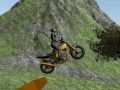 Spiel Dirtbike-Fahrer Online