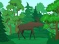 Spiel Wildtiere Ausmalen Online