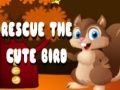 Spiel Rette den süßen Vogel Online