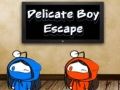 Spiel Flucht des zarten Jungen Online