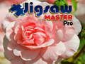 Spiel Puzzle-Meister Pro Online