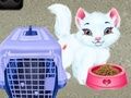 Spiel Baby Taylor: Haustierpflege Online