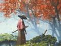 Spiel Samurai Reflexion Online