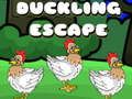 Spiel Entenflucht Online