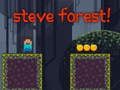 Spiel Steve-Wald Online