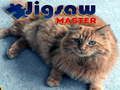 Spiel Puzzle-Meister Online