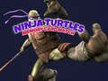 Spiel Ninja Turtles Merkspiel Online