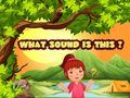 Spiel Welcher Klang ist das? Online