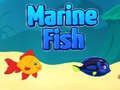 Spiel Meerfisch Online