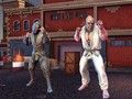 Spiel Welt der Kämpfer: Eisenfäuste Online
