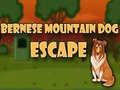 Spiel Flucht des Berner Sennenhundes Online