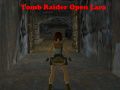Spiel Tomb Raider: Offene Lara Online