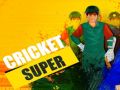 Spiel Super Cricket Online