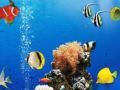 Spiel Unterwasserunterschiede im Meer Online