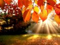 Spiel Puzzle: Herbst Online