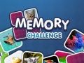 Spiel Gedächtnis-Herausforderung Online