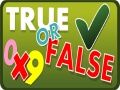 Spiel Wahr oder Falsch Online