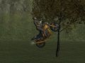 Spiel Mountainbike-Fahrer Online