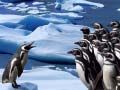 Spiel Pinguine Rutschen Online